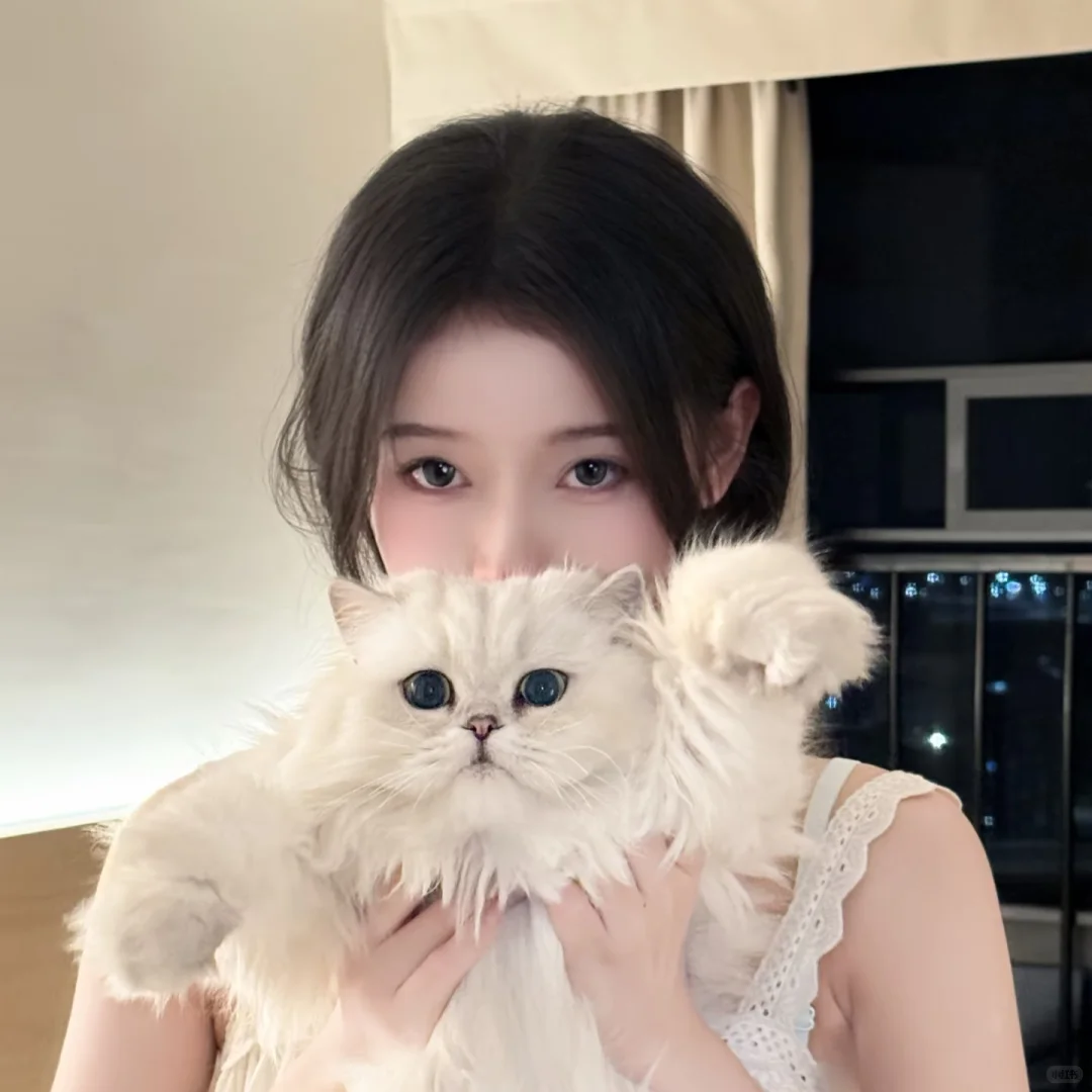 伴游假照片识别·视频核验拆解